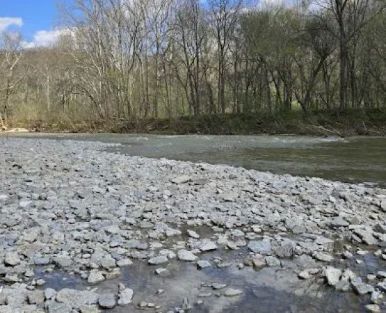 Callis Grove Campground