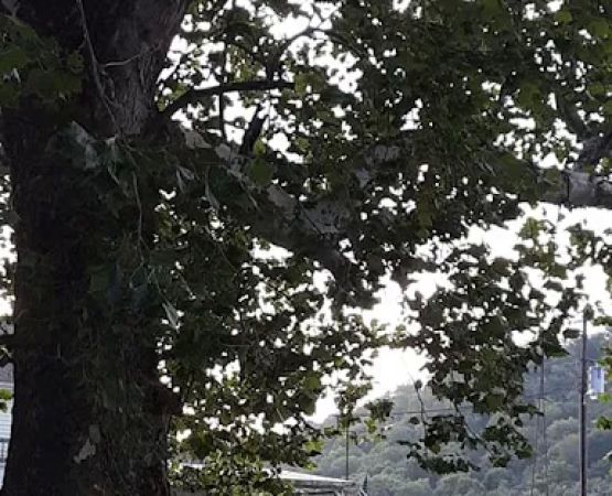 Wake Rider Campground