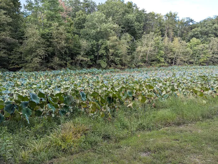 Hardy Lake Wooster Campground 2