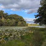 Hardy Lake Wooster Campground