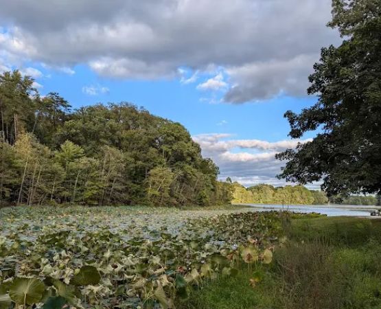 Hardy Lake Wooster Campground