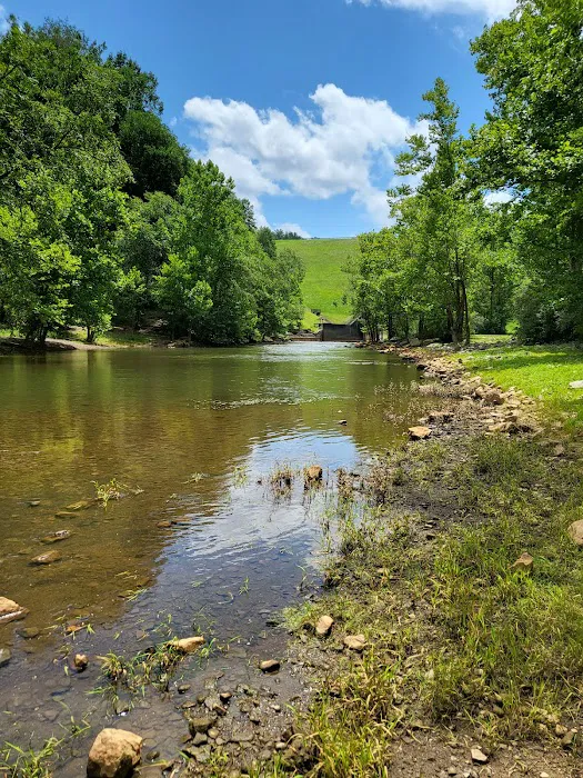 Buckhorn Campground 8