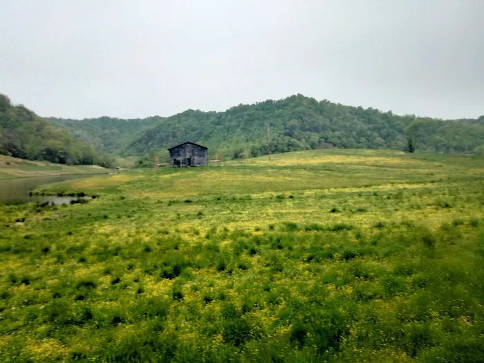 Crockettsville 9