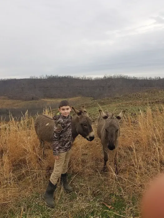 Buffalo Camp & Ride 2