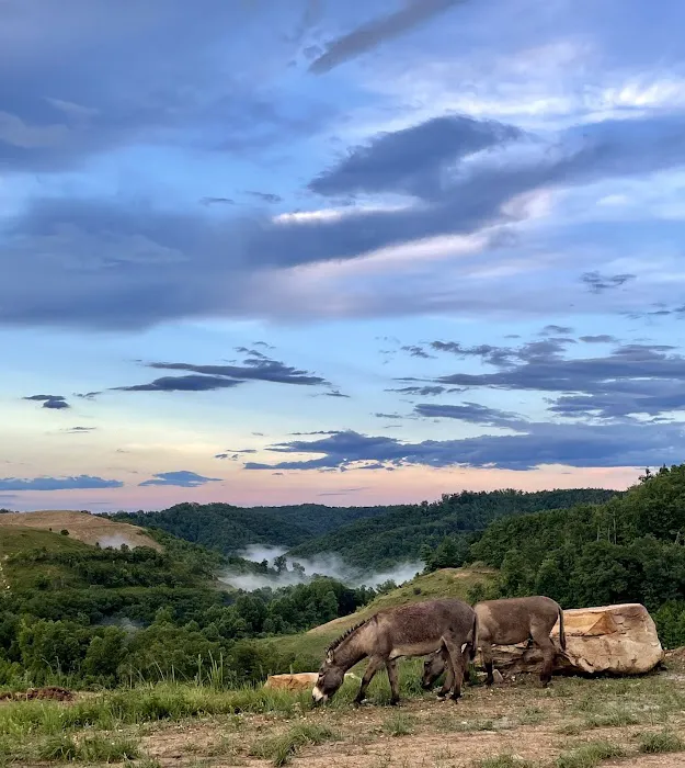 Buffalo Camp & Ride 9