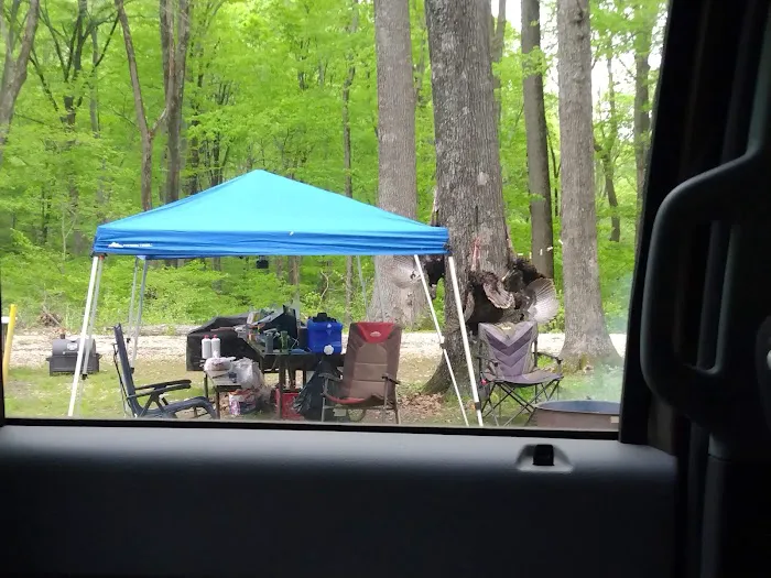 Shirley Creek Horse Camp 6