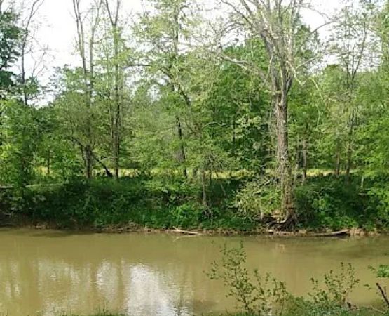 Recreation Unlimited