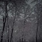 Old Mill Canoe Rental's Blue River Retreat- Primitive Camping