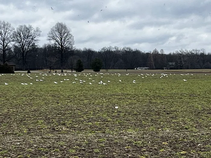Norman Conservation Club 0