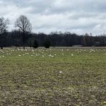 Norman Conservation Club