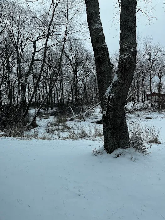 Norman Conservation Club 5