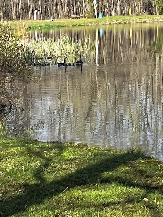 Norman Conservation Club 8