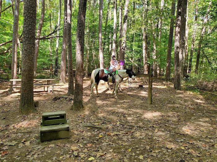 Hoosier Horse Camp 2