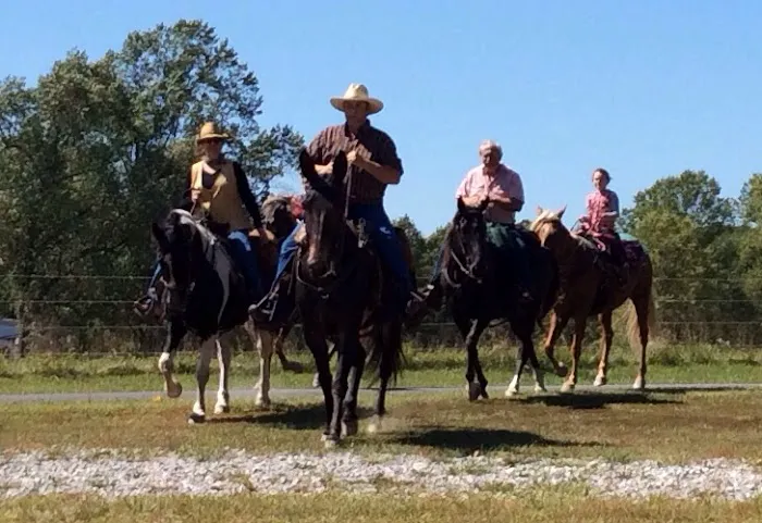 Harden's Horse Camp 7