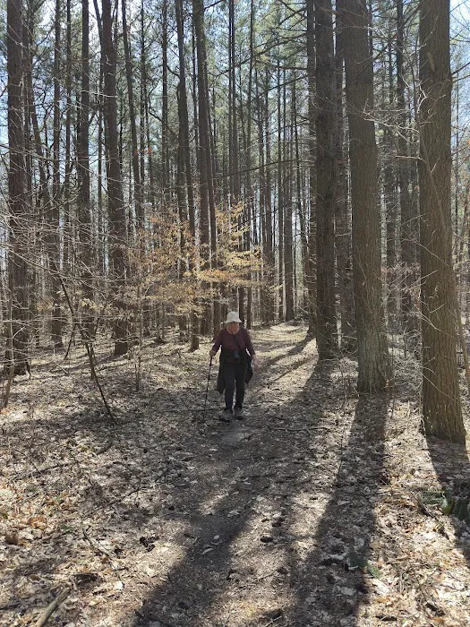 Hickory Ridge Horse Camp 2