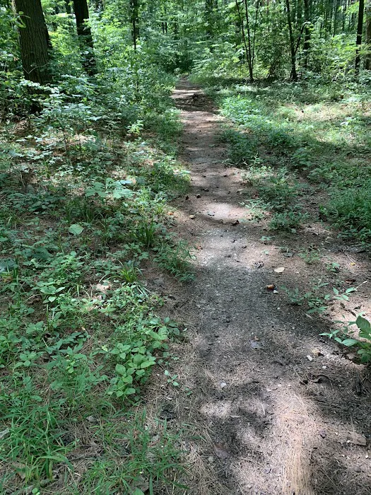 Hickory Ridge Horse Camp 6