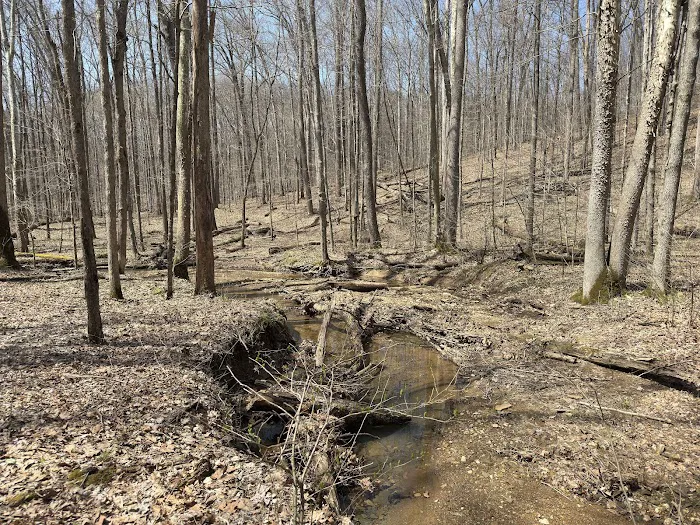 Hickory Ridge Horse Camp 3
