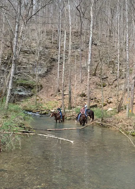 Come Again Horse Camp 0