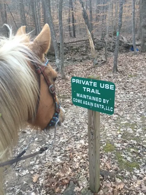 Come Again Horse Camp 6
