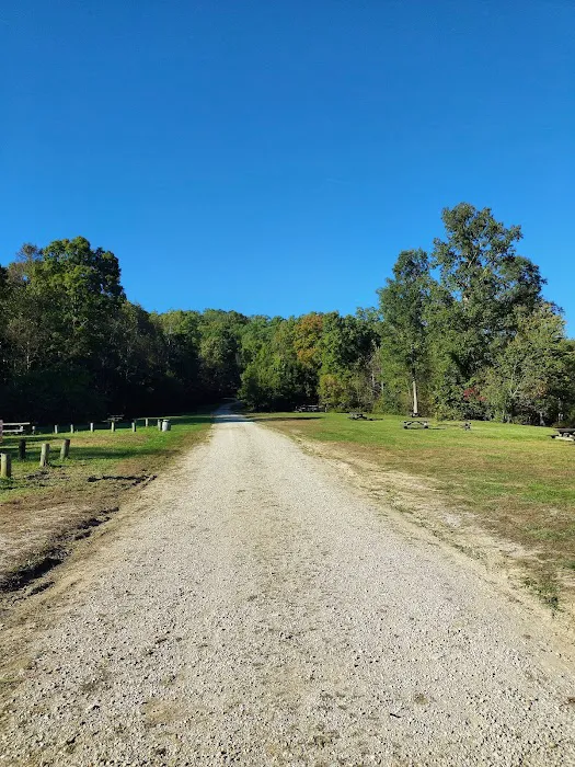 White Sulphur Horse Camp 8