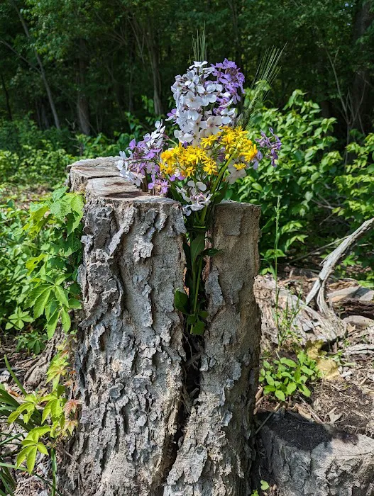Caesar Creek State Park Horseman's Campground 2
