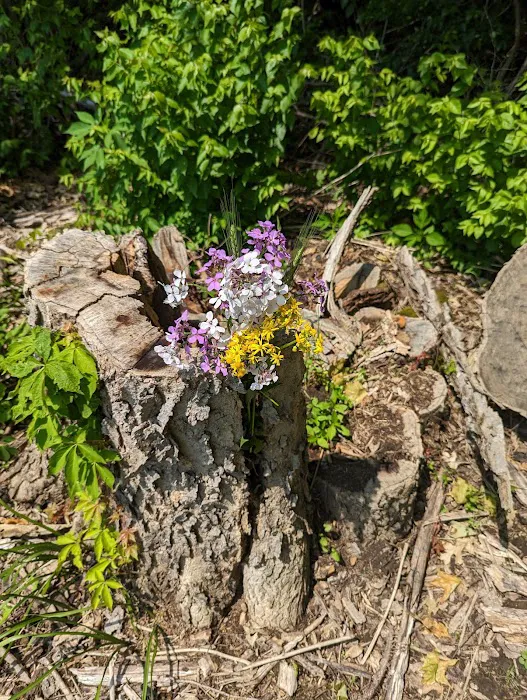 Caesar Creek State Park Horseman's Campground 5