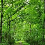 Buckeye Way Group Camp