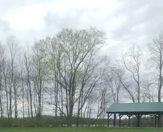 Hickory Overlook Group Camp Site