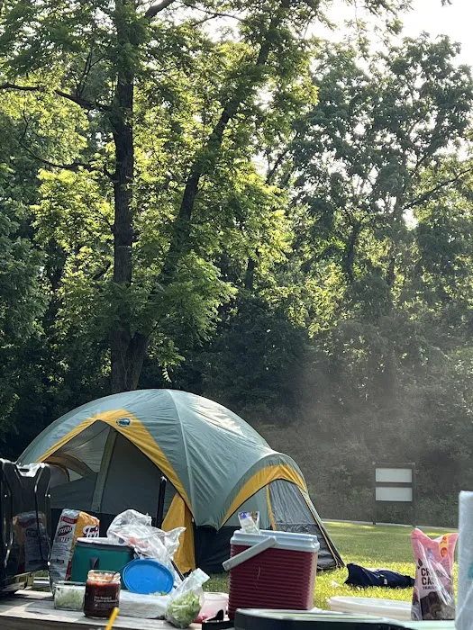 Pine Tree Group Camp 4