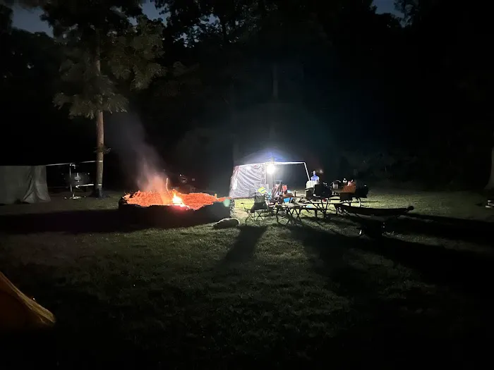 Pine Tree Group Camp 7