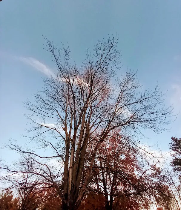Green Meadows Campgrounds 3