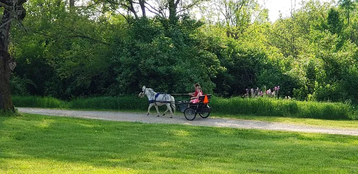 Sycamore State Park Group Camp 3