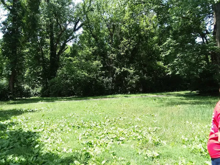Wright Patterson Scout Camp 2