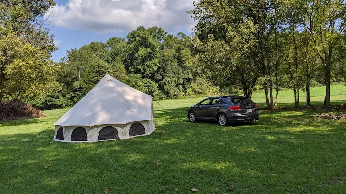 Camp Swallowtail 8