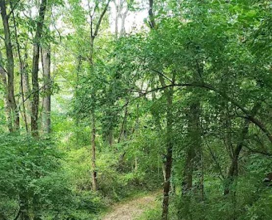 Paint Creek Horse Camp