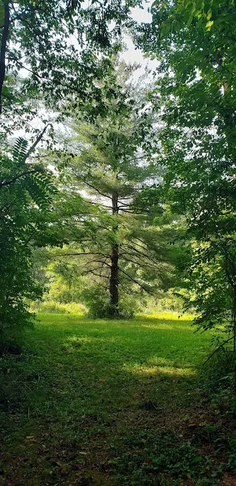 Paint Creek Horse Camp 7