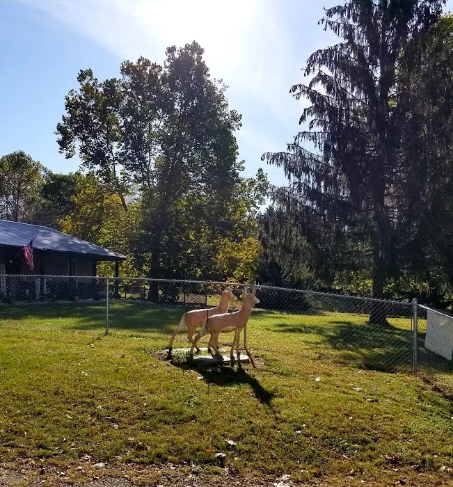 Shady Trails Family Campground 1