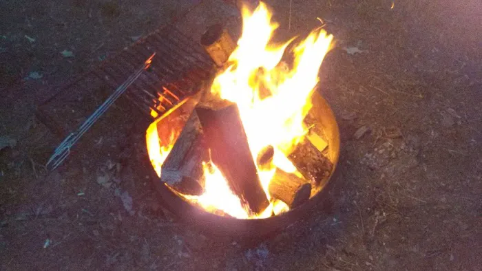 shady trails campground 0