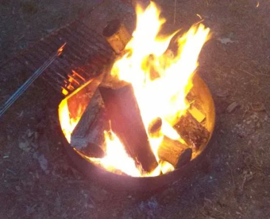 shady trails campground