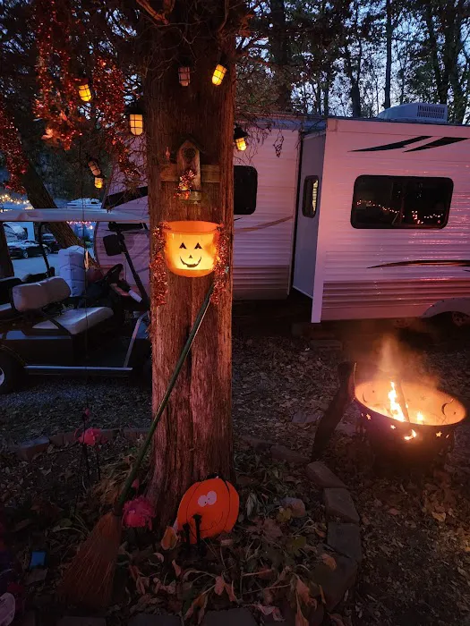 shady trails campground 5