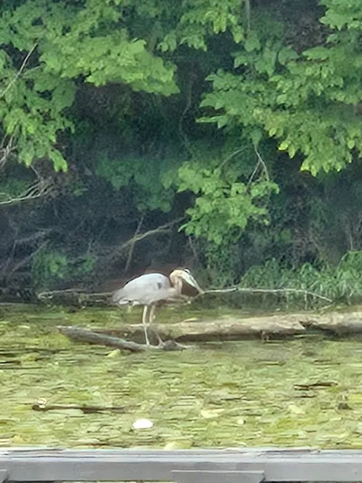 Rocky Fork State Park Campground 6