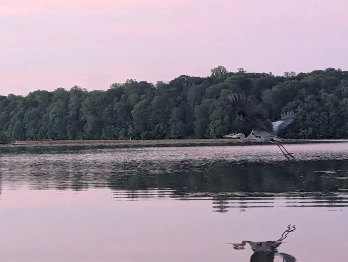 Rocky Fork State Park Campground 7