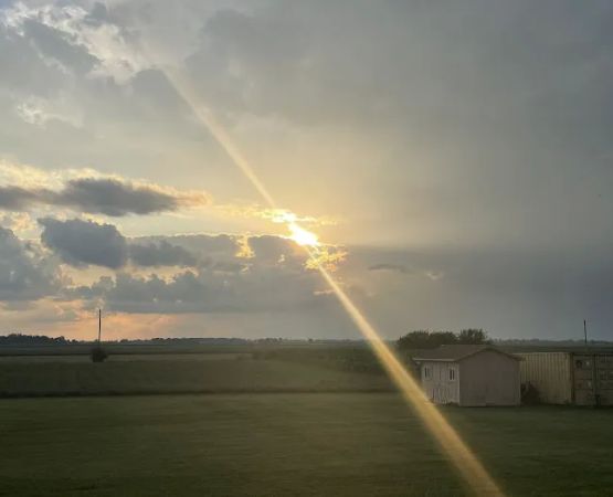 Buckley Family Farm