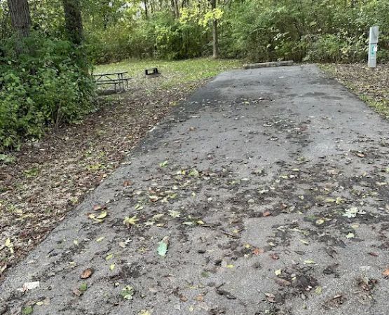 Campsite 35 (Electric Only)
