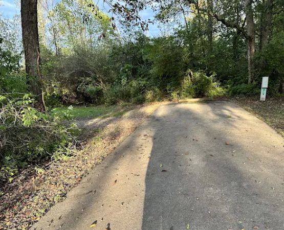 Campsite 32 (Electric Only)