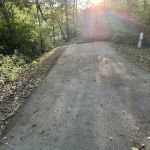 Campsite 33 (Electric Only)