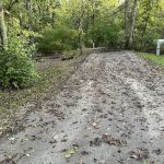 Campsite 36 (Electric Only)