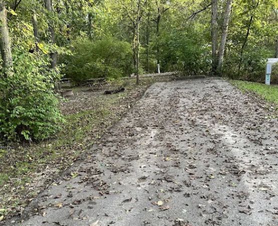 Campsite 36 (Electric Only)