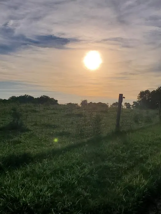 Turkey Hill Homestead 7
