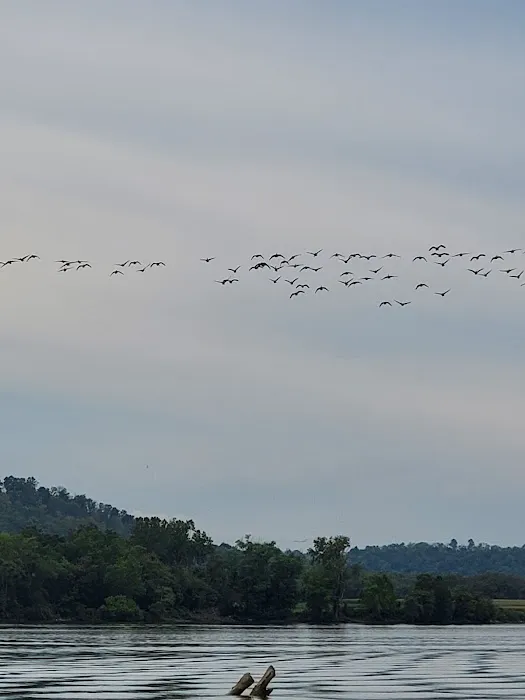 White Oak Creek Marina & Campground 2